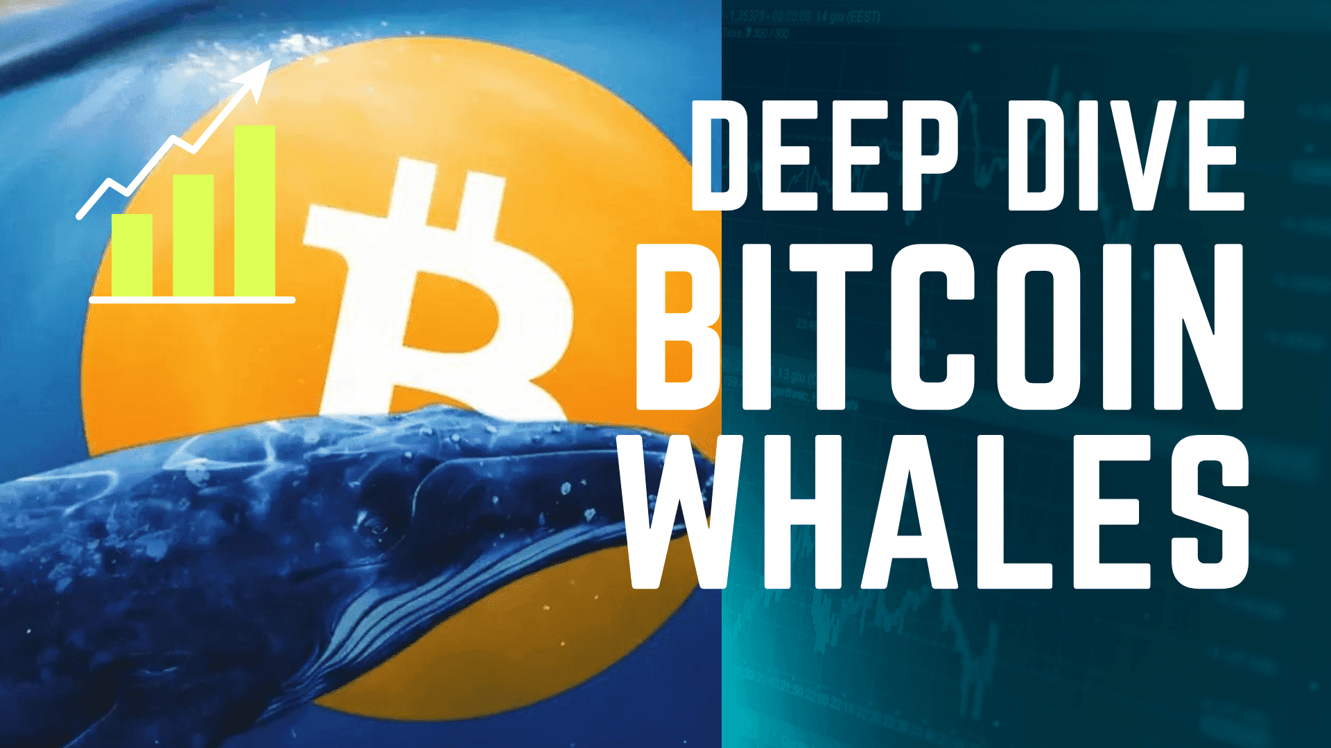Understanding the Bitcoin Trading Ecosystem: A Deep Dive into Bitcoin Whales