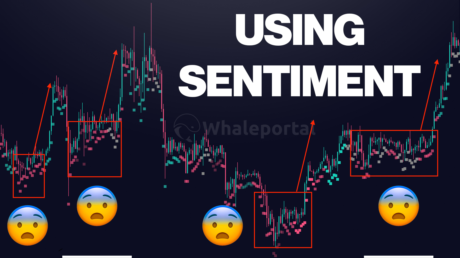Using Social Sentiment to Trade Crypto